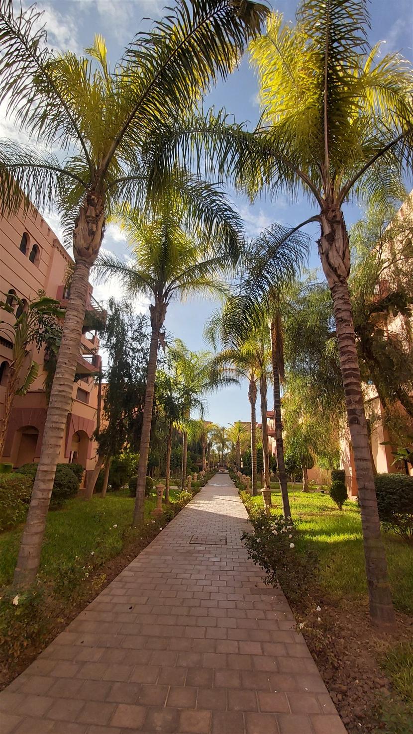 Appartement à Vendre Palmeraie Marrakech – 3 Chambres 161m², Piscine & Jardin (AP29) – photo 12