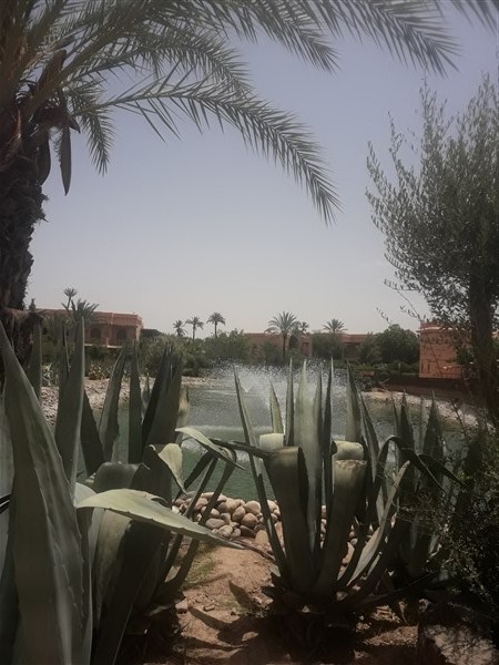 Appartement à Vendre Palmeraie Marrakech – Rez de Jardin, 2 Chambres 103m², Jardin 100m² & Piscine (AP23) – photo 22