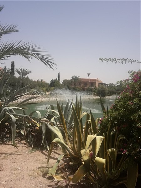 Appartement à Vendre Palmeraie Marrakech – Rez de Jardin, 2 Chambres 103m², Jardin 100m² & Piscine (AP23) – photo 23