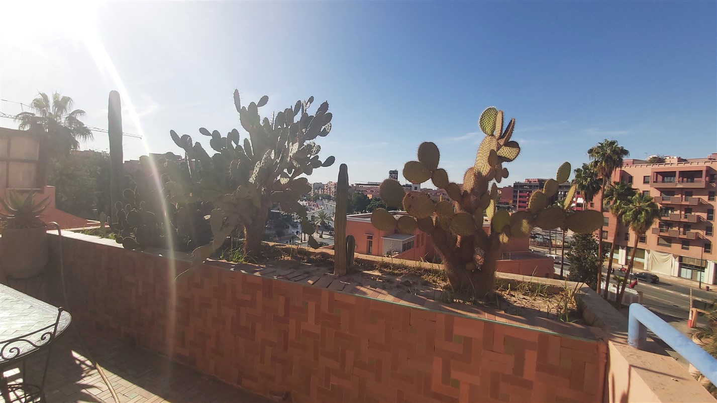 Duplex Penthouse à Vendre Guéliz Marrakech – 171m², Face Plaza, 2 Grandes Terrasses (AP30) – photo 20