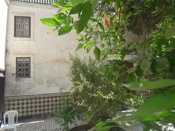 Palais Riad à Rénover Médina Marrakech – 431m², Patio Arboré, 300 Ans (RI725) – photo 10