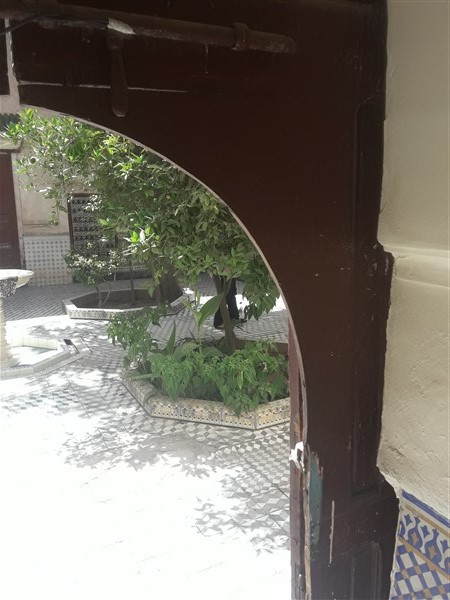 Palais Riad à Rénover Médina Marrakech – 431m², Patio Arboré, 300 Ans (RI725) – photo 12