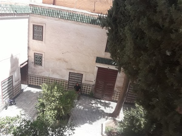 Palais Riad à Rénover Médina Marrakech – 431m², Patio Arboré, 300 Ans (RI725) – photo 2