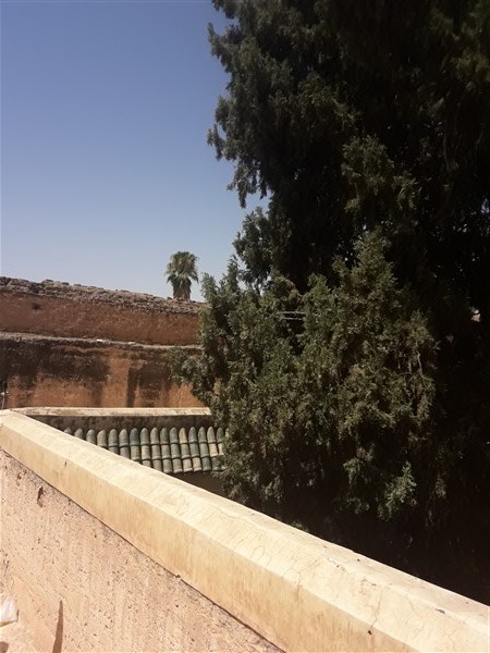 Palais Riad à Rénover Médina Marrakech – 431m², Patio Arboré, 300 Ans (RI725) – photo 20
