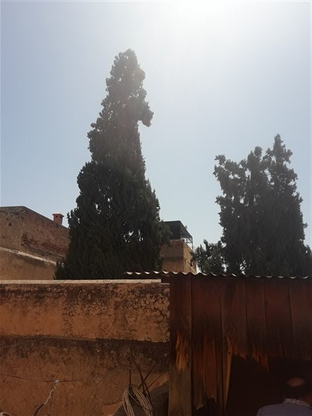 palais riad à rénover médina marrakech avec titre foncier maroc