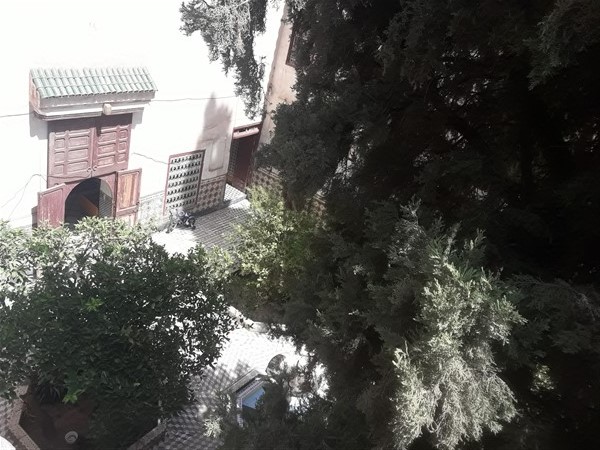 Palais Riad à Rénover Médina Marrakech – 431m², Patio Arboré, 300 Ans (RI725) – photo 3