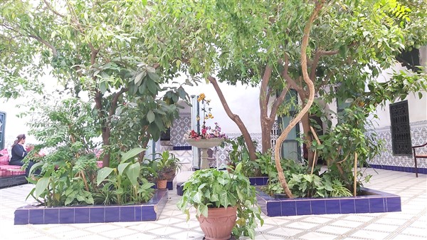 Riad à Rénover à Vendre Derb Dabachi Médina Marrakech – 350m², Djemaa El Fna (RI791) – photo 6