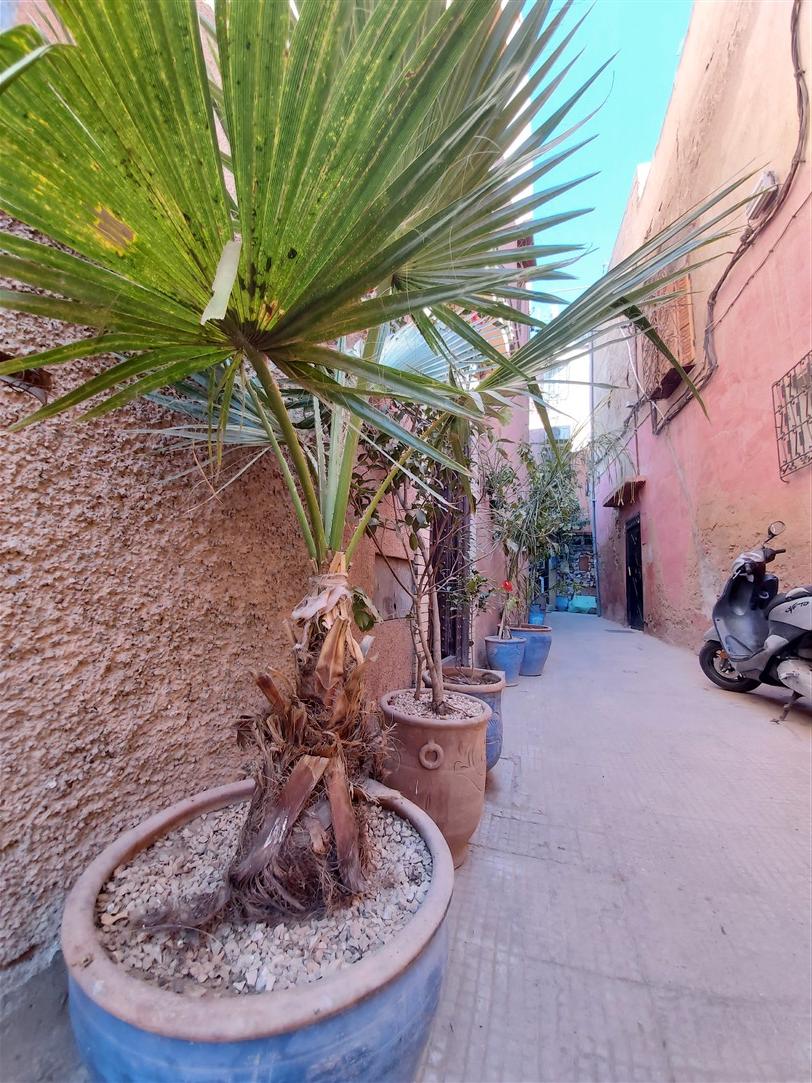 Riad à Vendre Djemaa El Fna Marrakech – 5 Chambres, Autorisé Maison d'Hôtes (RY19) – photo 35