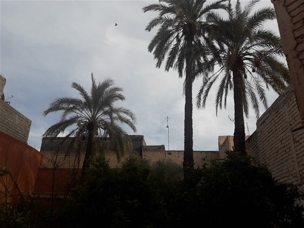 Palais 19ème Siècle à Rénover Bab Ghmat Médina Marrakech – 1377m², Boutique Hôtel 24 Suites (RY843) – photo 7