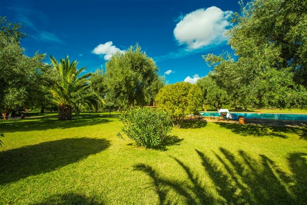 Villa de Campagne à Vendre Route d'Amizmiz Marrakech – 4 Chambres, 350m², Parc 1 Ha, Piscine (VAM308CB) – photo 6