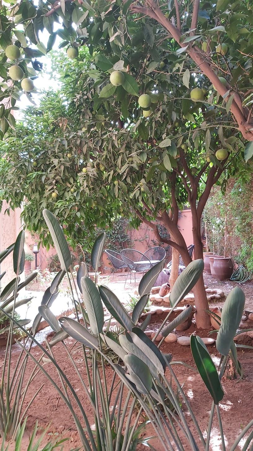 Villa Palais à Vendre Semlalia Marrakech – 6+3 Chambres 550m², Terrain 600m², Piscine (VEV10) – photo 6