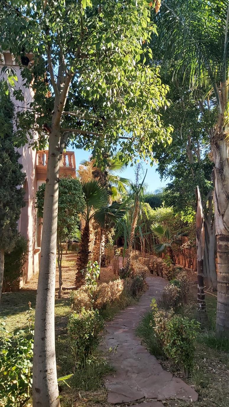 Villa de maître Agdal Marrakech – 800m², 4 suites, terrain 2200m², piscine (VEV12) – photo 5
