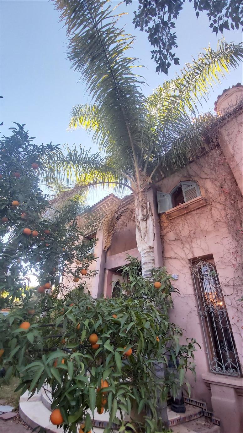 Villa de maître Agdal Marrakech – 800m², 4 suites, terrain 2200m², piscine (VEV12) – photo 8