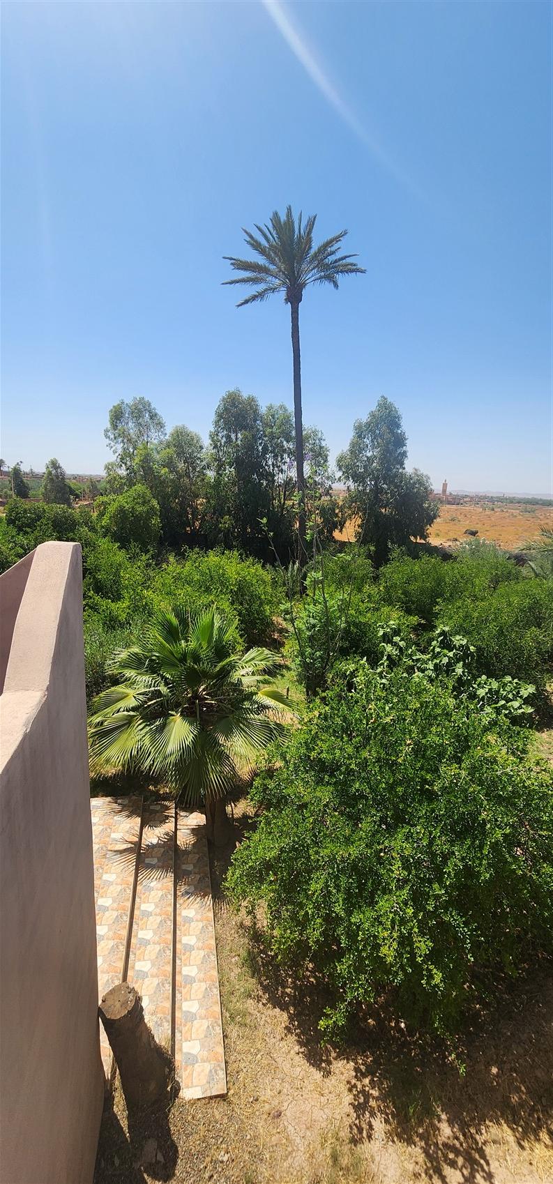 Villa à Vendre Route de Fès Marrakech – Plain-Pied 7 Chambres, Terrain 1 Ha, Piscine (VFE10) – photo 27