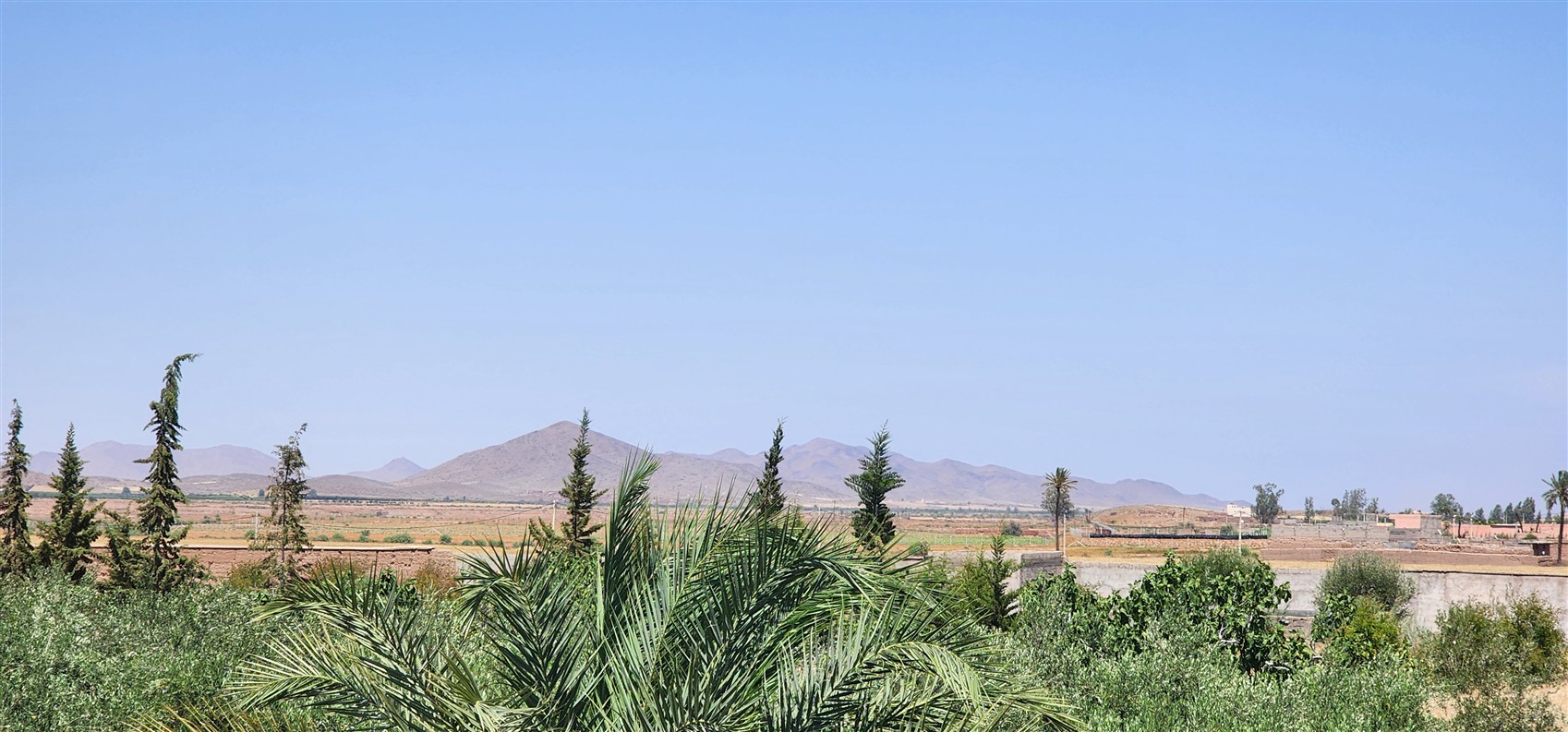 Villa à Vendre Route de Fès Marrakech – Plain-Pied 7 Chambres, Terrain 1 Ha, Piscine (VFE10) – photo 6