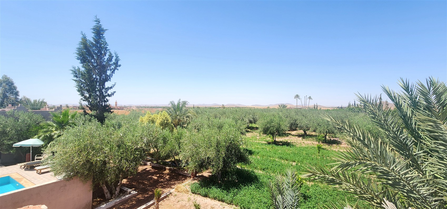 Villa à Vendre Route de Fès Marrakech – Plain-Pied 7 Chambres, Terrain 1 Ha, Piscine (VFE10) – photo 7