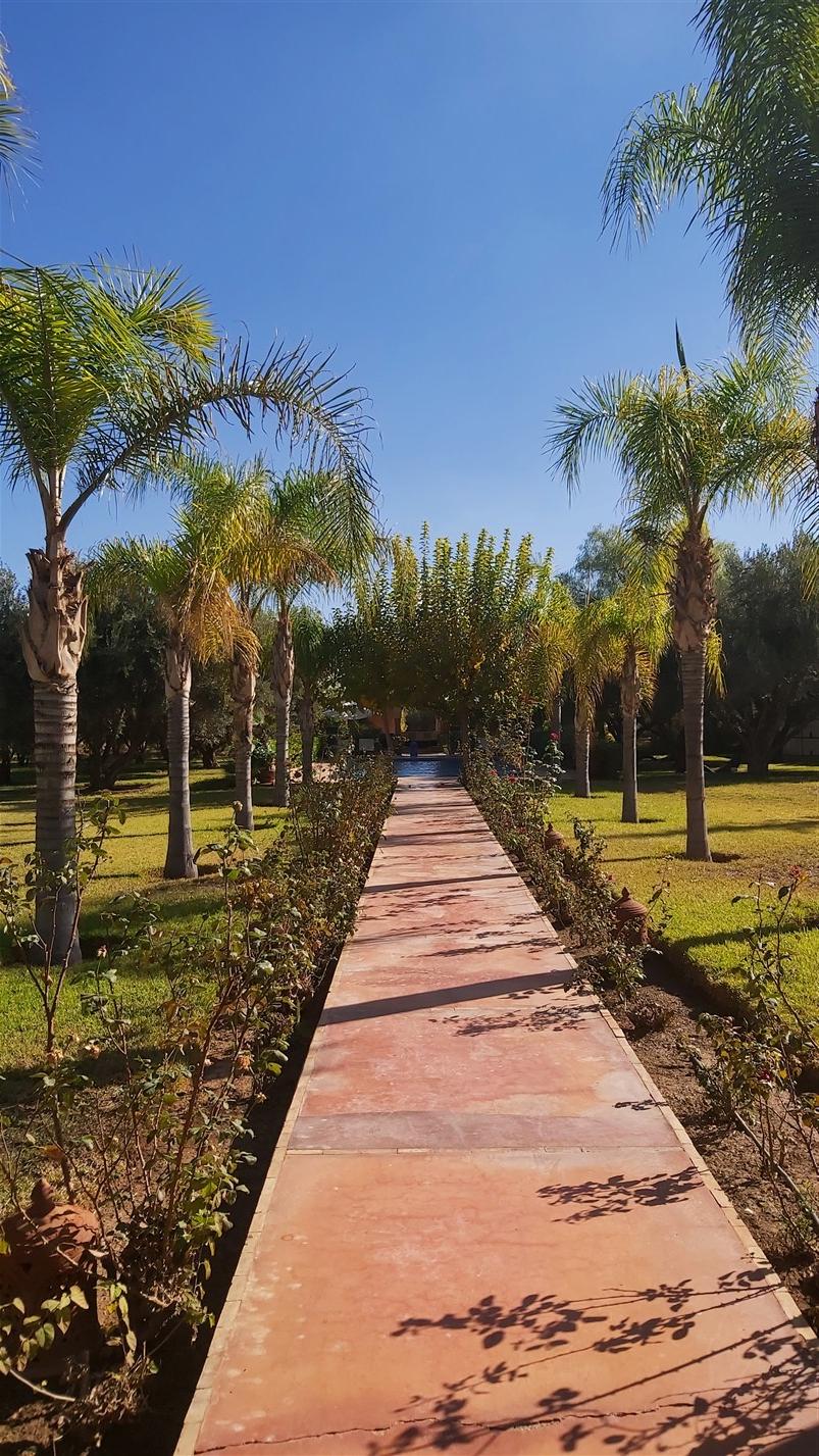 Palais Villa à Vendre Route de Fès Marrakech – 6 Chambres, 500m², Terrain 1 Ha, Piscine (VFE5) – photo 10