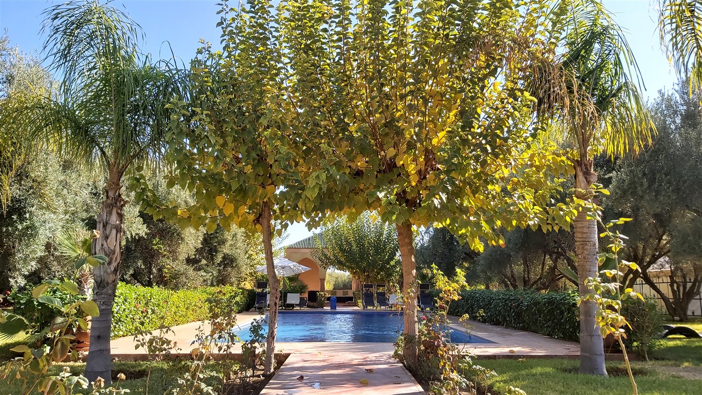 Palais Villa à Vendre Route de Fès Marrakech – 6 Chambres, 500m², Terrain 1 Ha, Piscine (VFE5) – photo 8