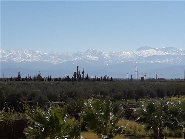 Villa d'architecte km10 Route Ourika Marrakech – 5 suites, 1 hectare (VOU1) – photo 20