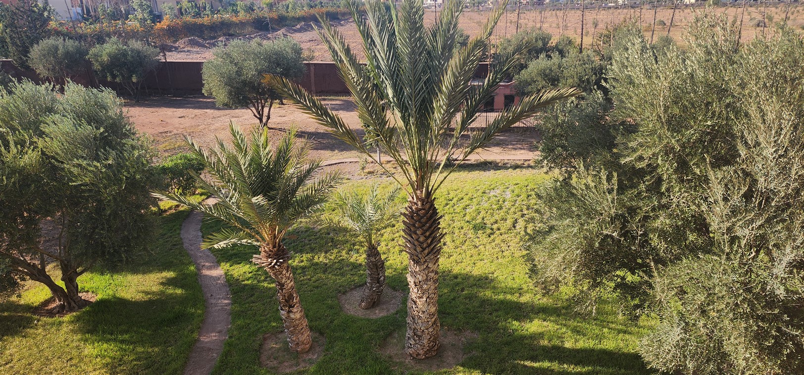 Palais arabo-mauresque Route de l'Ourika Marrakech – 600m², 6 suites, 1 ha (VOU2) – photo 10