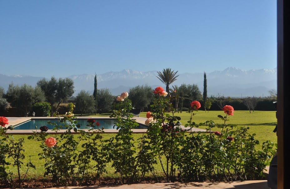 Villa Riad à Vendre Route de l'Ourika Marrakech – 4 Suites 512m², Terrain 4440m², Piscine (VOU6) – photo 5