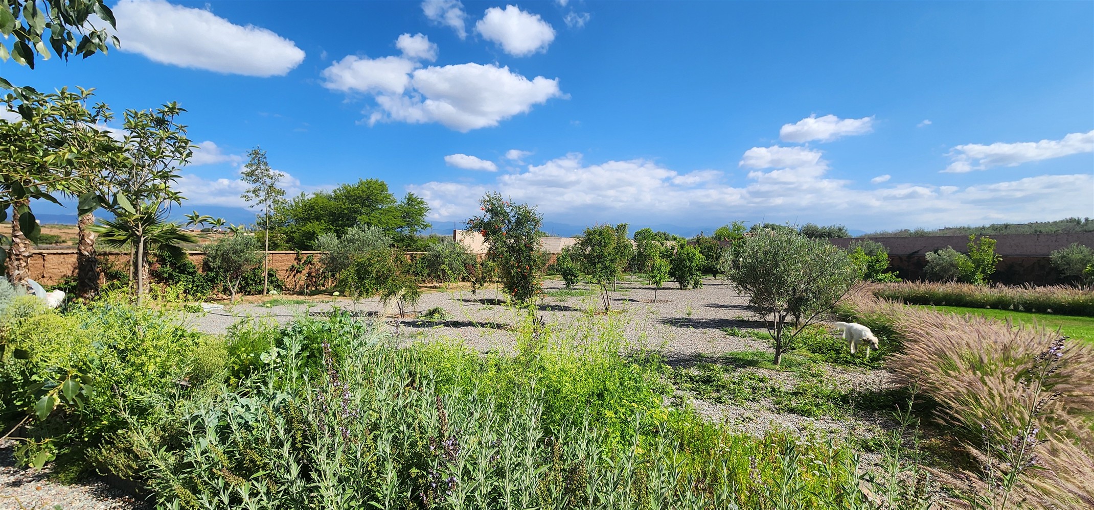 Villa à Vendre Route de l'Ourika Marrakech – 5 Chambres, 450m², Terrain 5020m², Piscine, Vue Atlas (VOU9) – photo 7