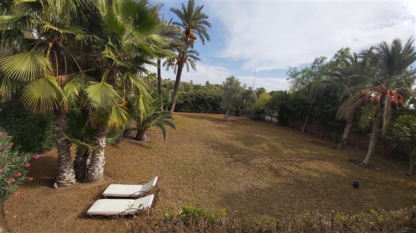 Villa Riad à Vendre Palmeraie Marrakech – 4 Chambres, 250m², Piscine, Circuit de la Palmeraie (VPA1) – photo 31
