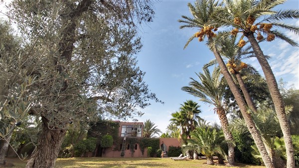 Villa Riad à Vendre Palmeraie Marrakech – 4 Chambres, 250m², Piscine, Circuit de la Palmeraie (VPA1) – photo 32