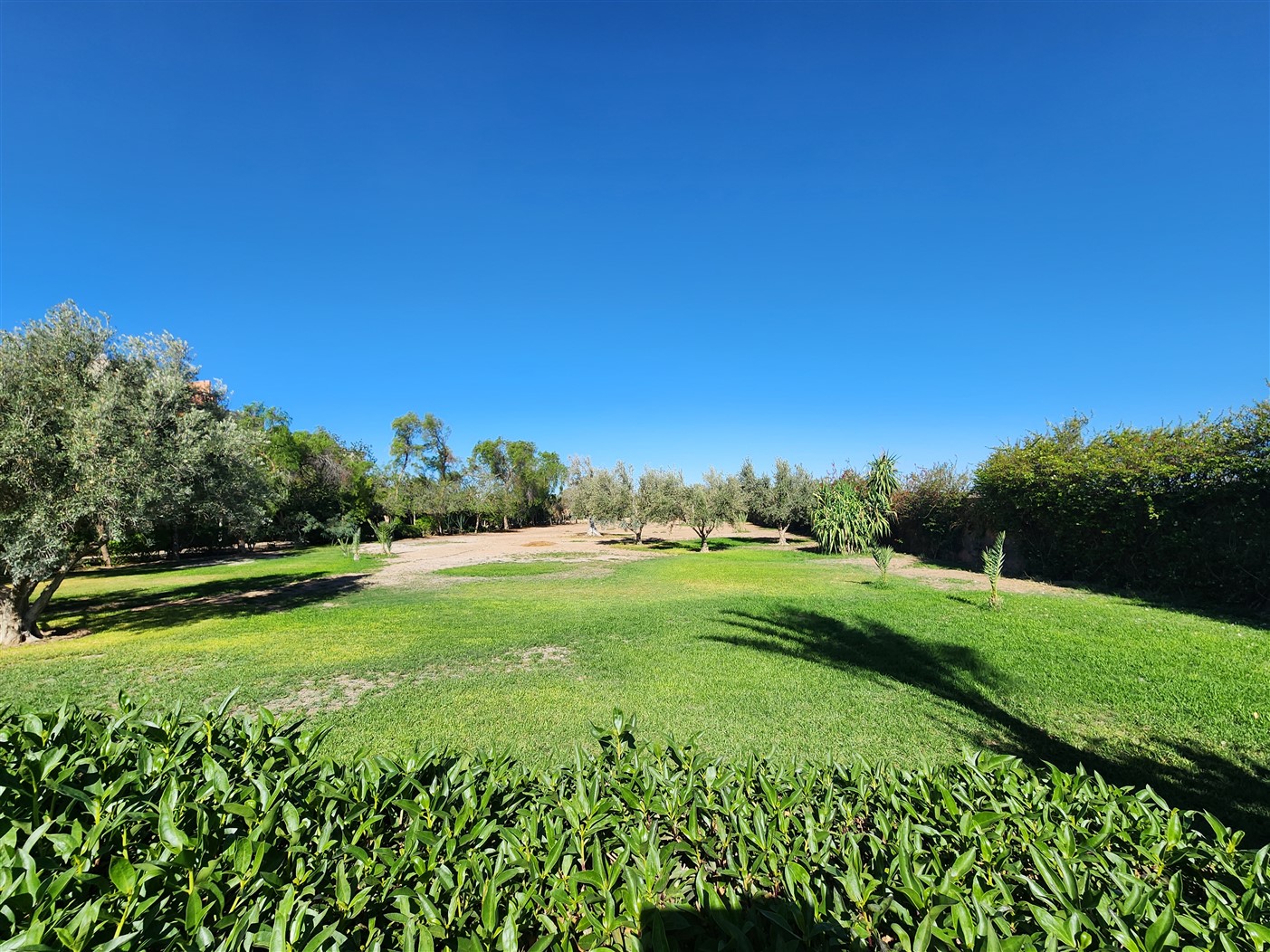 Villa luxe Palmeraie Marrakech – 650m², 5 suites, terrain 8000m² (VPA4) – photo 10