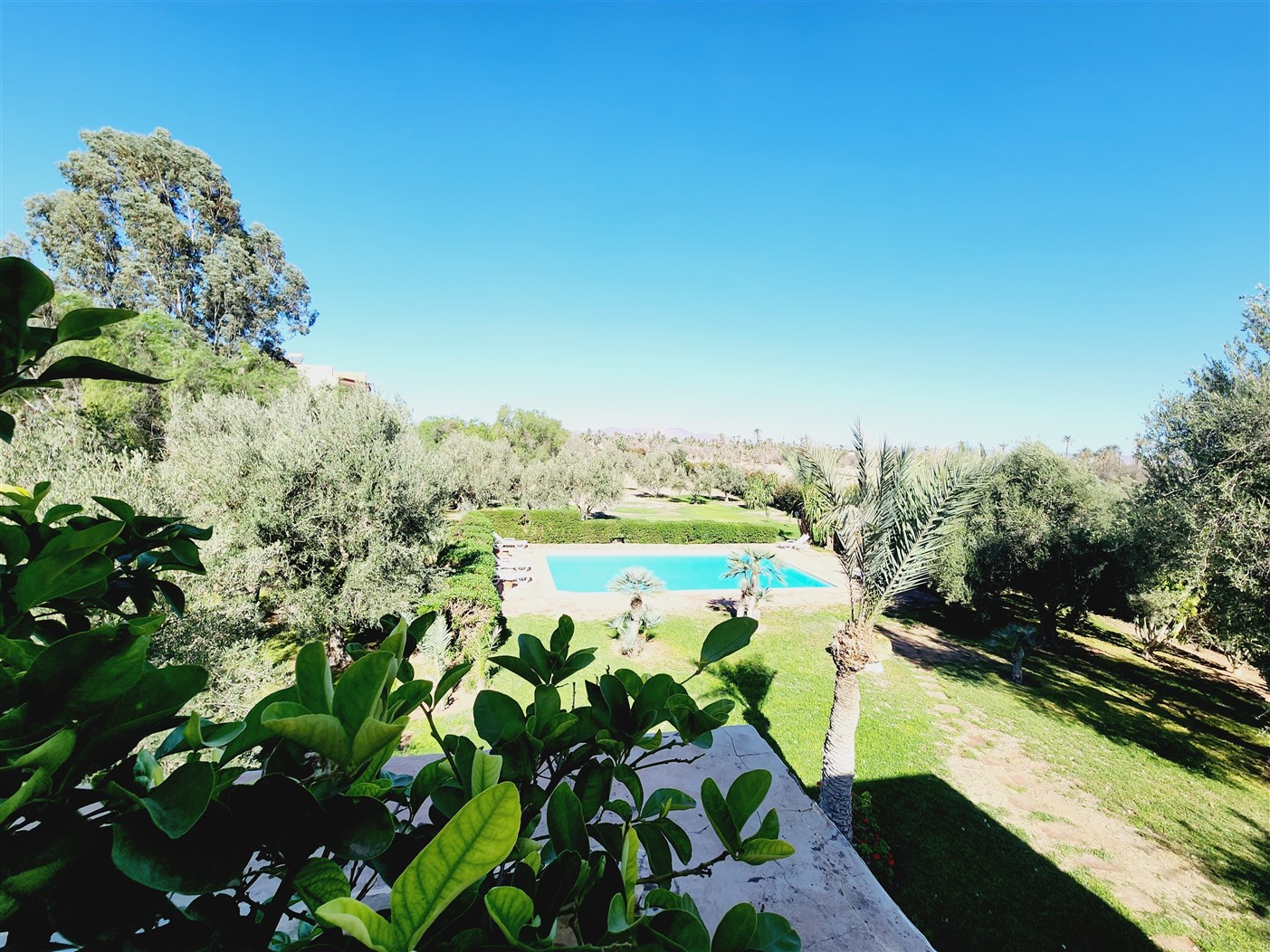 Villa luxe Palmeraie Marrakech – 650m², 5 suites, terrain 8000m² (VPA4) – photo 11