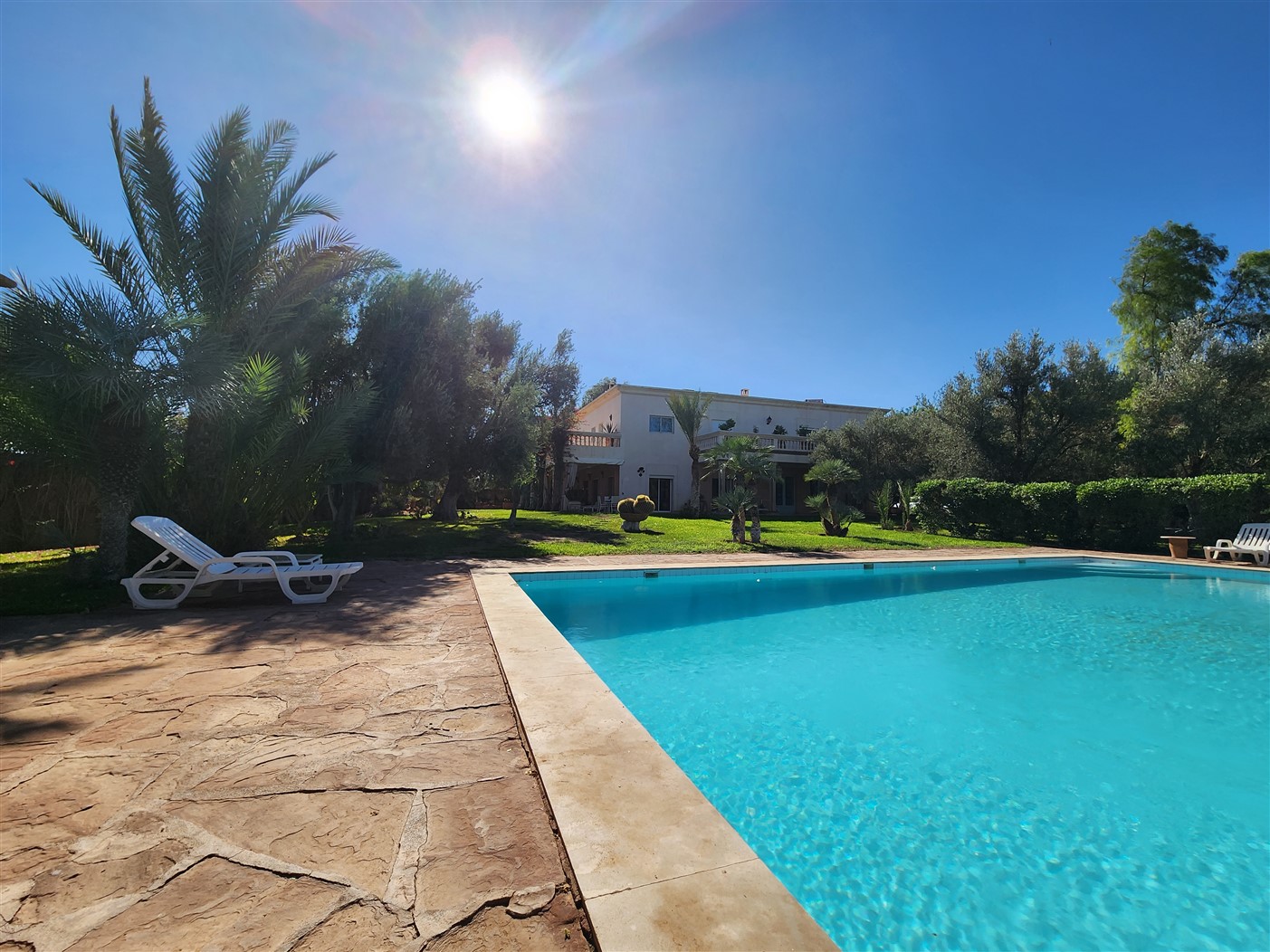 Villa luxe Palmeraie Marrakech – 650m², 5 suites, terrain 8000m² (VPA4) – photo 2