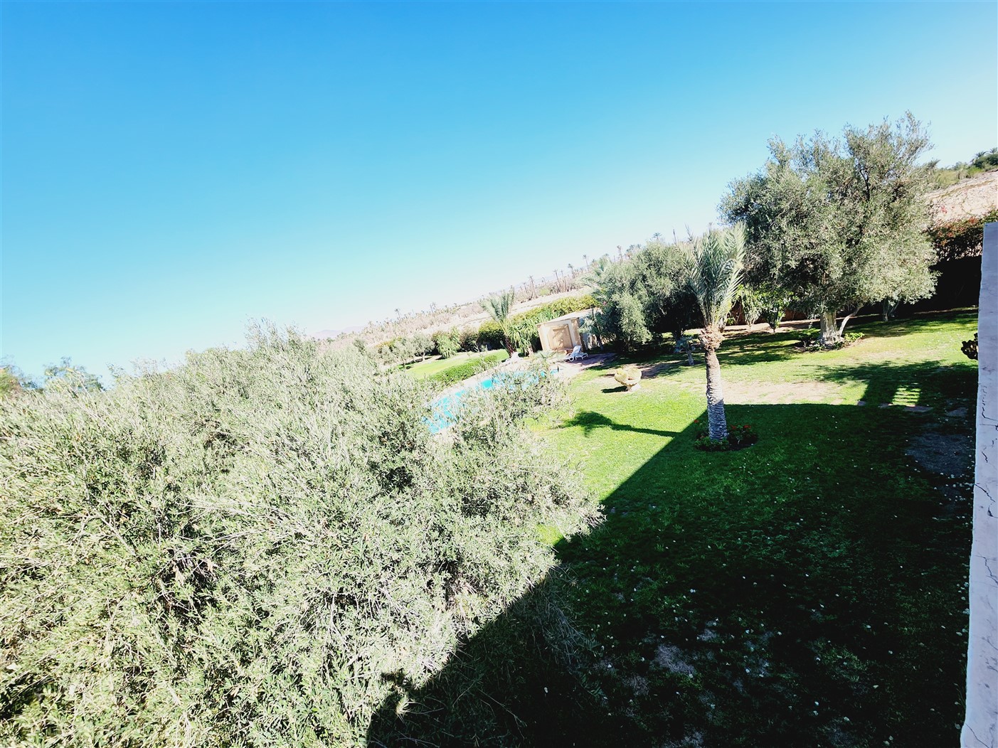 Villa luxe Palmeraie Marrakech – 650m², 5 suites, terrain 8000m² (VPA4) – photo 41