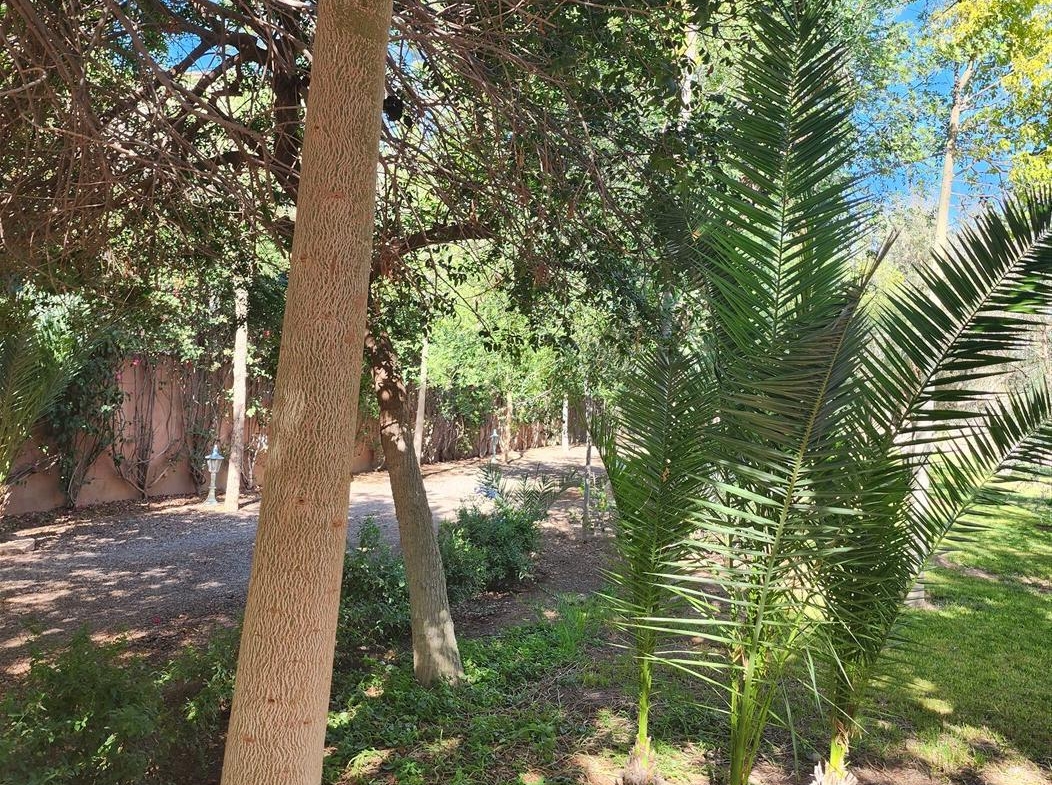 Villa luxe Palmeraie Marrakech – 650m², 5 suites, terrain 8000m² (VPA4) – photo 42