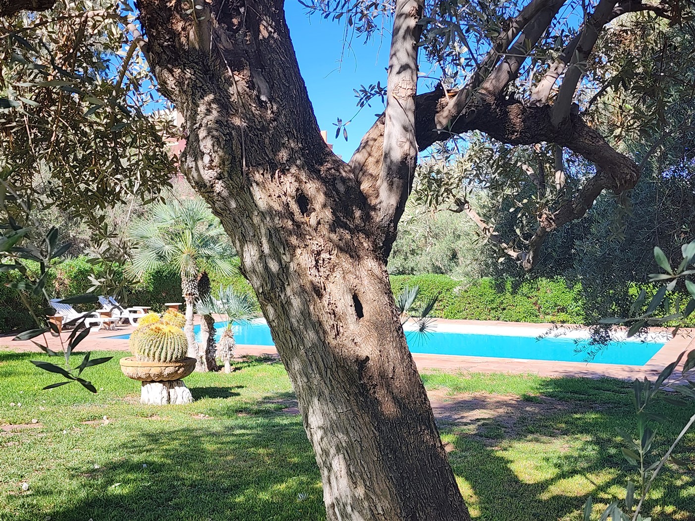 Villa luxe Palmeraie Marrakech – 650m², 5 suites, terrain 8000m² (VPA4) – photo 44