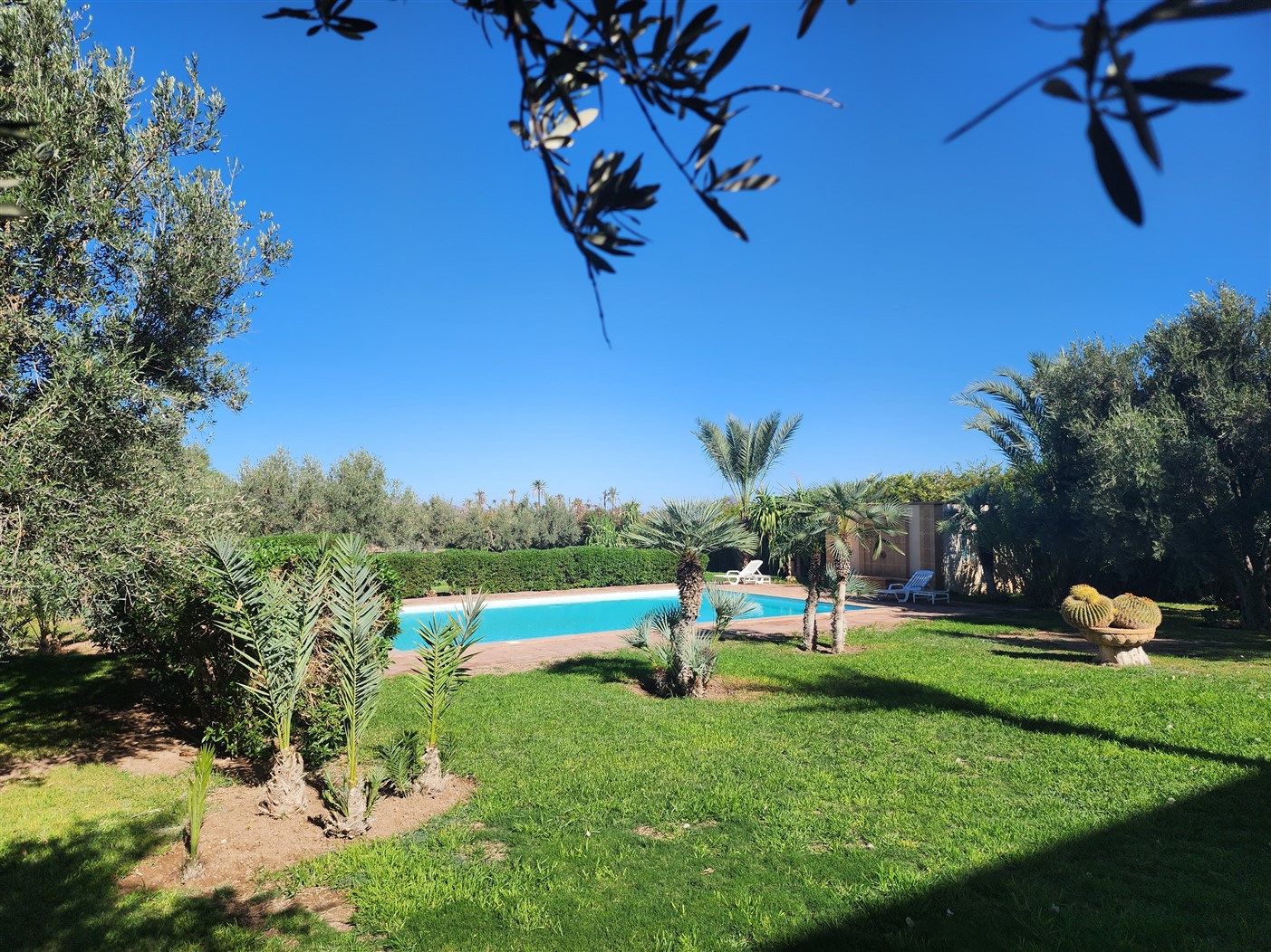 Villa luxe Palmeraie Marrakech – 650m², 5 suites, terrain 8000m² (VPA4) – photo 45