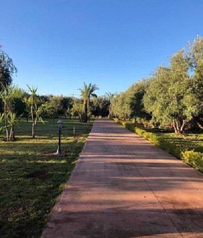 Villa de Luxe à Vendre Route de Sidi Abdellah Ghiat Marrakech – 4 Suites, 550m², Parc 7000m², Piscine (VSAG1) – photo 26