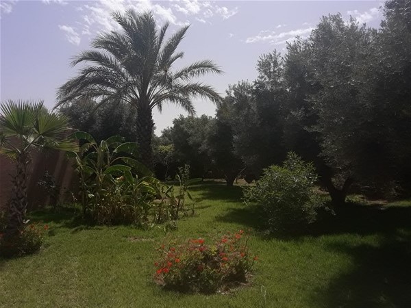 Villa de Luxe à Vendre Route de Sidi Abdellah Ghiat Marrakech – 4 Suites, 550m², Parc 7000m², Piscine (VSAG1) – photo 30