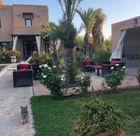 Villa de Luxe à Vendre Route de Sidi Abdellah Ghiat Marrakech – 4 Suites, 550m², Parc 7000m², Piscine (VSAG1) – photo 4