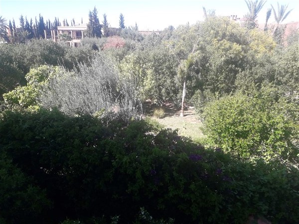 Villa à Vendre Golf Amelkis Marrakech – 5+1 Chambres, 380m², Piscine, Jardin 1600m² (VZA318) – photo 27