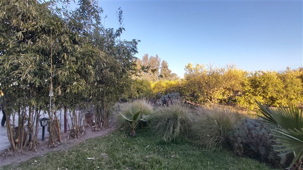 Palais luxe Route de Ouarzazate Marrakech – 1393m², 8 suites, 2.5 ha, piscine (VZA4) – photo 26